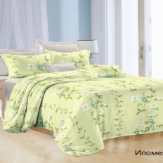 Постельное белье Satin collection Ипомея (микросатин)
